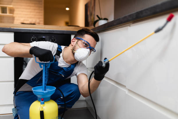 Best Emergency Pest Control  in Glenwood City, WI