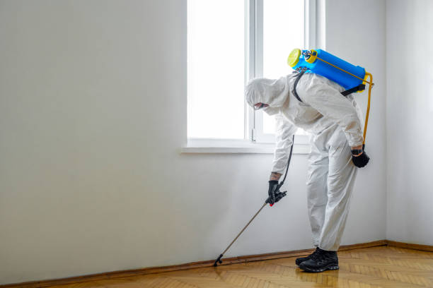 Best Best Pest Control Companies  in Glenwood City, WI