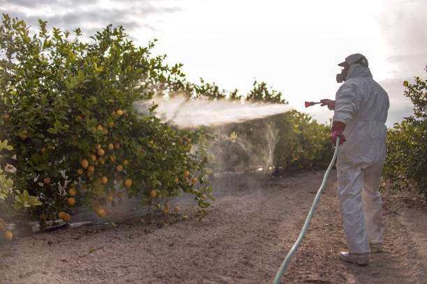 Professional Pest Control in Glenwood City, WI