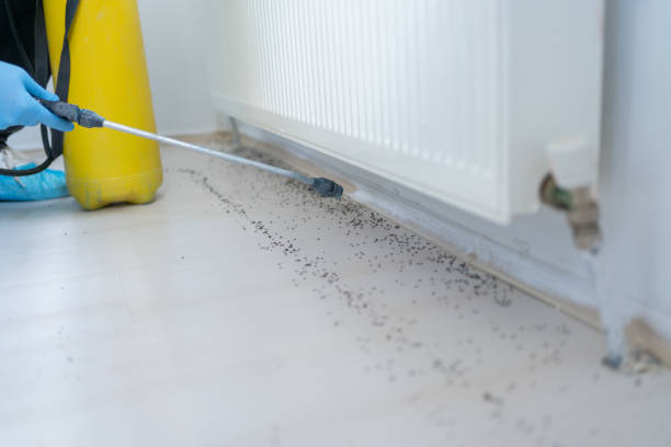 Best Exterminator Services  in Glenwood City, WI